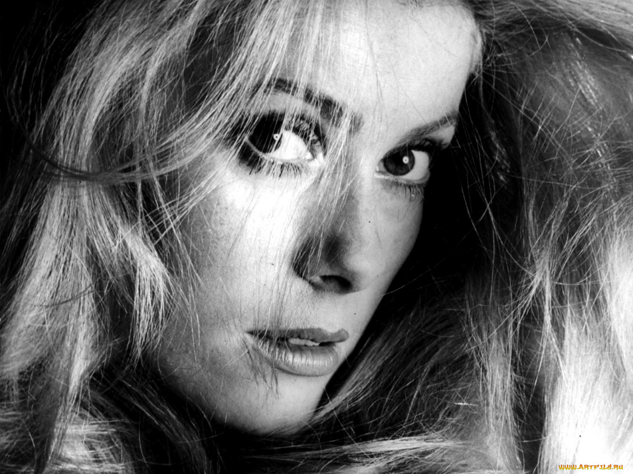 Catherine Deneuve, 